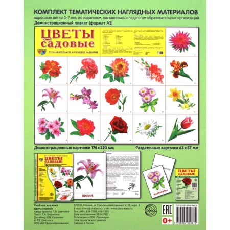 A set of cards. Garden flowers. 16 demonstration pictures-4