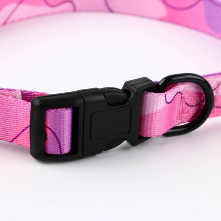 Set "Tenderness", fastener - Fastex, leash 2 m and collar 28-46 cm-5