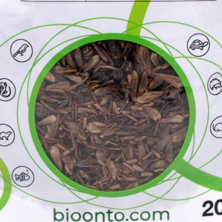 ONTO food for animals, dried cricket, 20 g-1
