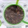 ONTO food for animals, dried cricket, 20 g