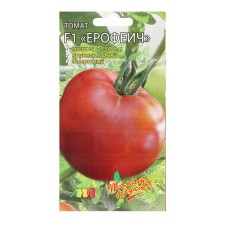Seeds Tomat 