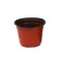 Pot for seedlings, d = 10 cm, h = 8.5 cm, terracotta, Greengo