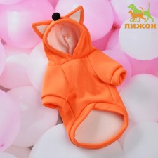 Sweater with a hood 