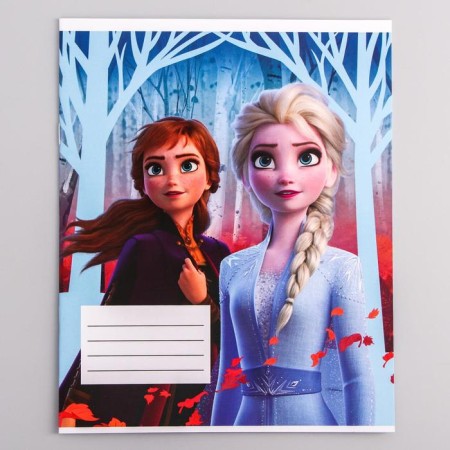 Notebook in a cage 12 sheets, 5 types of mix, cover covered paper, cold heart-6