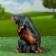 Garden Figure "Dog Family" 18x30x25cm