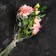 Package for flowers, cone, 5+20*35cm, transparent