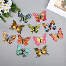 Magnet Plastic 