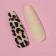 Leopard overhead nails, 12 pcs, with adhesive plates, ballerina shape, beige/yellow/black