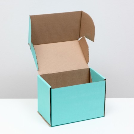 Self -charging box, mint, 26.5 x 16.5 x 19 cm-2
