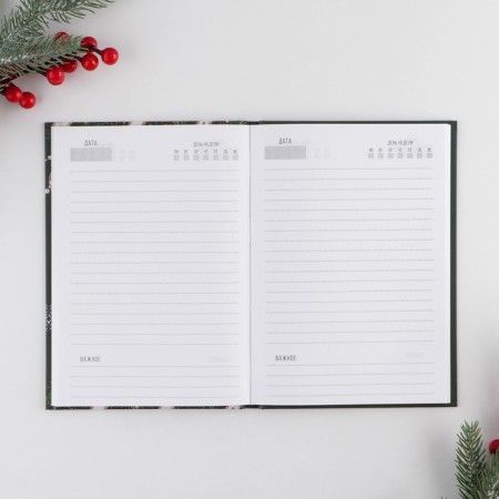 New Year. Diary Classic "Miracles Time", 7BC A5, 80 sheets-1