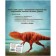 A big book about dinosaurs. Federica Magrin