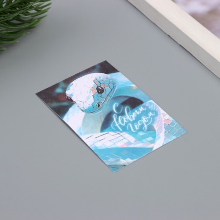 Postcard with the seeds "grow itself" "Happy New Year" snake 5*7cm-1