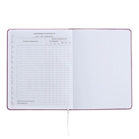 Universal diary for grade 1-11 Mentality, hard cover, artificial leather, foam rubber, lies, 80 g/m2-11