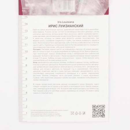 Iris Luisian Laura Luis, rr I, 1 pc, spring 2025-2