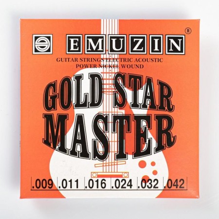 The strings "Gold Star Master" with a stainless steel winding /.009 -.042 /
