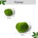 Moss Artificial "Stones", set of 10 pcs., Greengo