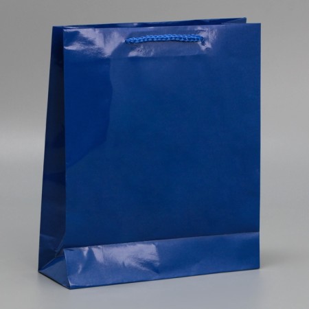 Gift laminated package, packaging, “blue”, ml 21 x 25 x 8 cm-4