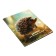 Diary for grades 1-4, solid cover "animals", matte lamination, selective varnish, block 60 g/m2