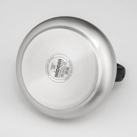 A kettle with a whistle Nadoba Virga, 3.8 l-2