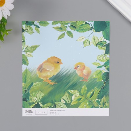 Scrapbooking paper "Chickens on the grass" density 180 grams set 10 pcs 15.5x17 cm-2