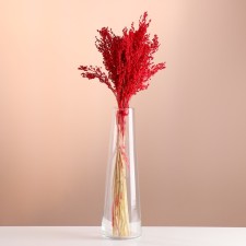 Set of dried flowers 