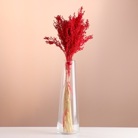 Set of dried flowers "millet", banch length 45 (+/- 6 cm), red