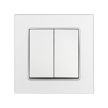 Tot Matte Glass switch, 10 a, 2 cl., Hidden, glass, silver-2