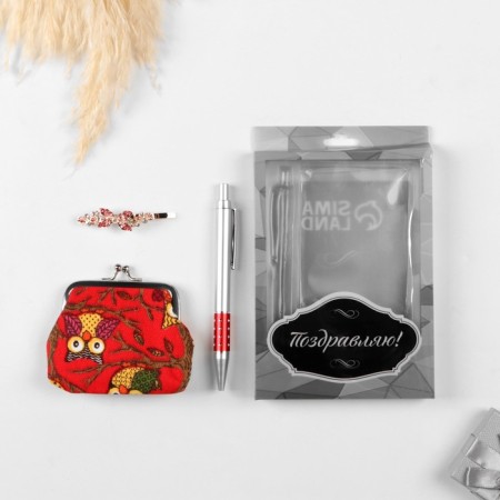Gift set 3v1 (pen, wallet, hairpin)-2