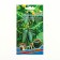 Cucumber seeds "marvelous", F1, 10-12 pcs.