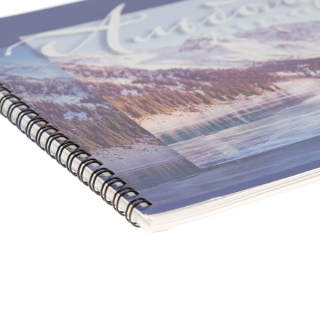 Album for drawing A4, 48 sheets on the crest "Nature", cover Cover Cardboard, block 100 g/m²-2
