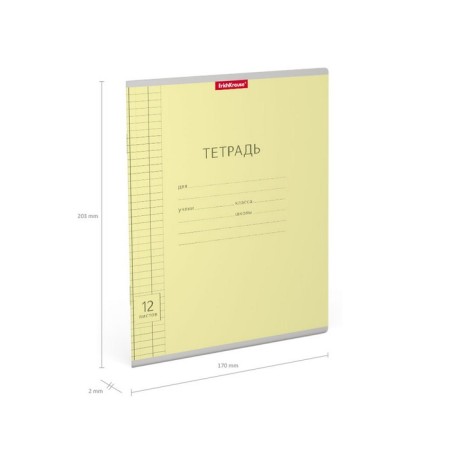 Notebook of 12 sheets in the Erichkrause Class "Classic", with a Linovka, yellow-7