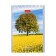 Notepad A7, 40 sheets in the cage on the crest "Great landscapes", cover coated cardboard, mix