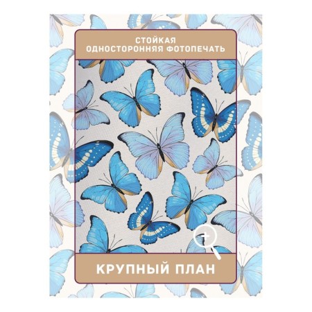 Photostes "Blue butterflies", Saten, size 145x180 cm, 2 pcs-2