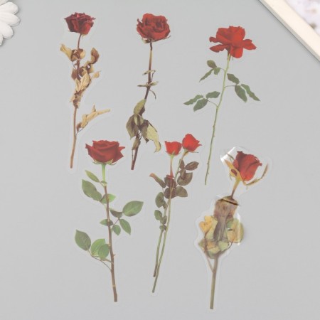 Plastic stickers "Flowers and quotes. Red roses" set 12 pcs 8.5x21.5x0.2 cm-4