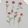 Plastic stickers "Flowers and quotes. Red roses" set 12 pcs 8.5x21.5x0.2 cm