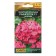Flower seeds Pelargonium "Raphaella", Pink, 5 pcs, F1,
