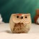 Pot "Owl Ava" 6x6x6.5cm, mix