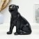 Pigpie "Panther" black, 26x20x12cm