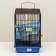A cage for rodents with plastic shelves and filling, 36 x 23 x 34 cm, blue