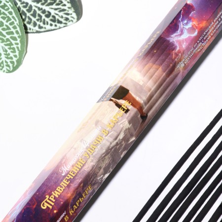 Incense "Attracting good luck in the career", 20 pcs in the package, hexagon-1