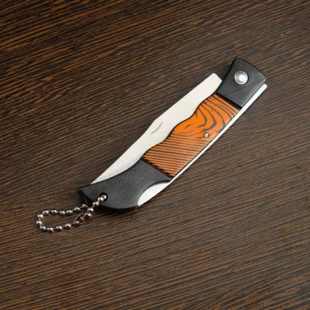 Folder Knock Folding "strip" 14.6cm, blade 66mm/1.2mm, with a chain-1