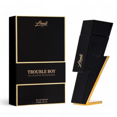 Men's toilet water Trouble Boy (based on Carolina Herrera Bad Boy), 100 ml