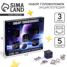 Metal puzzle 