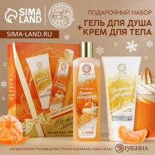 Gift set of cosmetics, shower gel 250 ml and body cream 200 ml, Aroma Sound by Ural Lab
