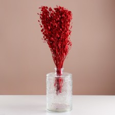 Set of dried flowers 