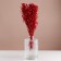 Set of dried flowers "Monetnik", banch length 45 (+/- 6 cm), red