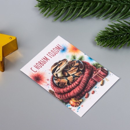 A set of postcards with seeds "grow itself" "snakes" 5*7cm-2