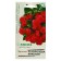 Belonia Flowers "Red Queen", F1, Eternally flowering, Sakata series, 4 pcs