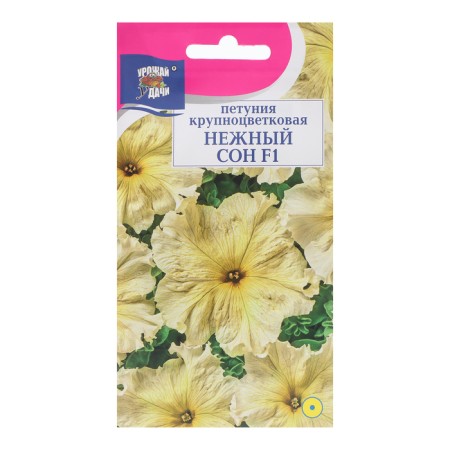 Flowers of Petunia "Tender Dream", F1, 10pcs