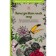 Enchanted garden. Mini-painting-antistress for creativity and inspiration